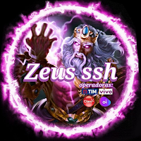 ZEUS NET