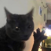 Dabloon Counter