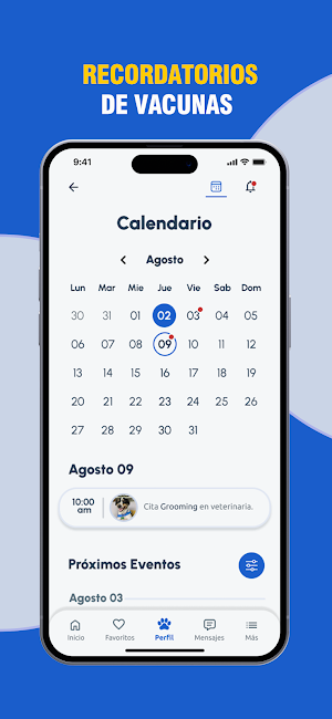 Pasapet Screenshot 3
