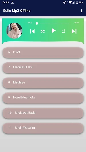 Sulis Mp3 Offline Screenshot 2