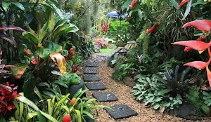 Decorative Plants Garden Screenshot 3