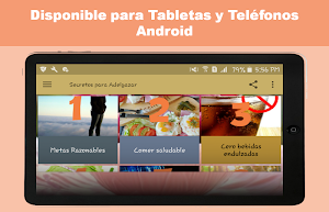 Secretos para Adelgazar Rápido Screenshot 3