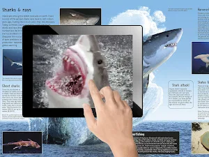 TapADot-SeasAndOceans Screenshot 1