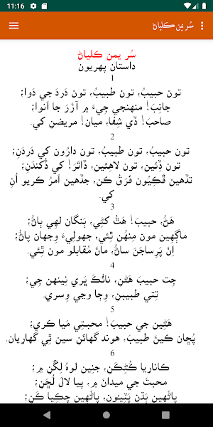 Shah Jo Risalo- Javaid Solangi Screenshot 2