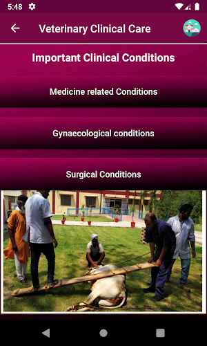 IVRI-VeterinaryClinicalCare App पशु चिकित्सा सेवा Screenshot 3