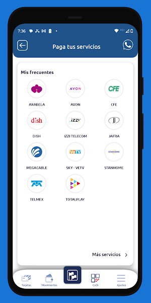 ASP Pago Screenshot 3
