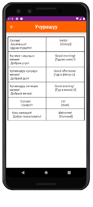 Language Trainer Screenshot 3