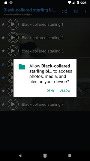 Black collared starling sounds ~ Sboard.pro Screenshot 1