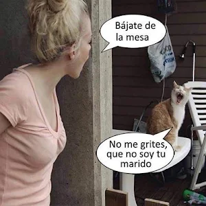 Imagenes chistosas 2 Screenshot 3
