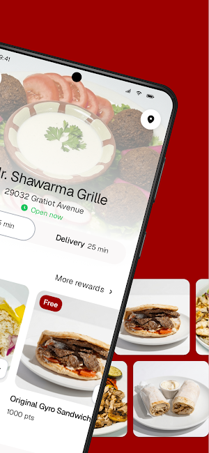 Mr. Shawarma Grille Screenshot 1