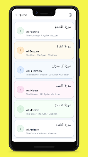 Quran Hindi Translation Screenshot 2
