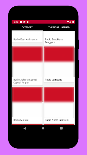 Radio Indonesia + Radio Online Screenshot 1