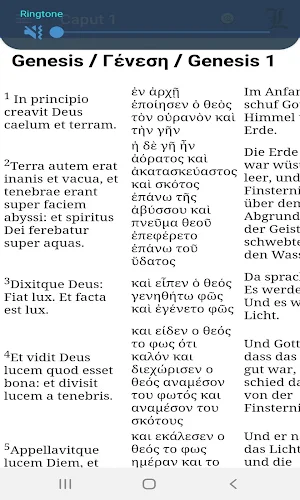 Parallele deutsche /griechische/ lateinische Bibel Screenshot 2