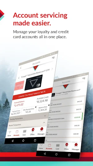 Triangle Screenshot 3