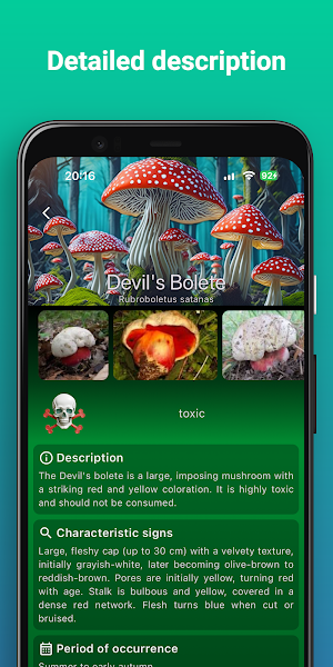 AI Mushroom Identifier Screenshot 2