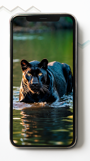 Black Panther HD Wallpapers Screenshot 2