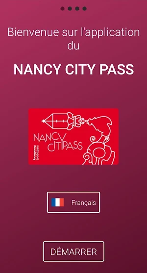 Nancy City Pass Screenshot 0