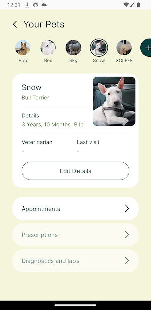 AprilVets Screenshot 2