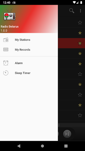 RADIO BELARUS Screenshot 0