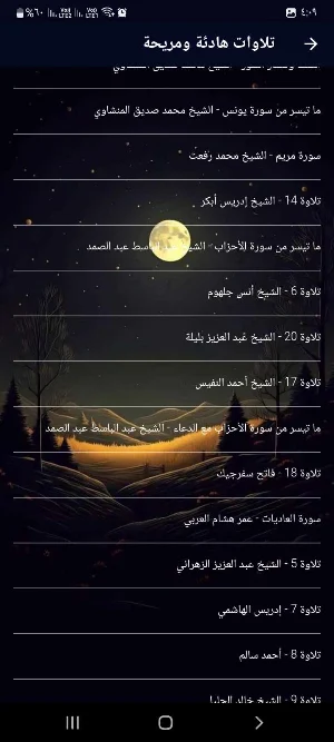 قران كريم بصوت هادئ بدون نت Screenshot 3