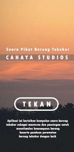 Suara Pikat Burung Tekukur Screenshot 1