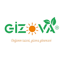 Gizova