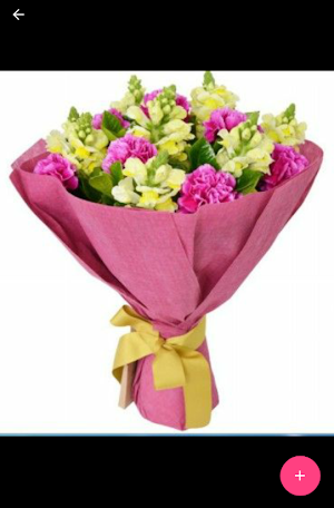 Thanksgiving Flowers Screenshot 2