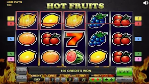 Hot Fruits Screenshot 1