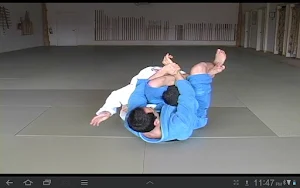 Blue Belt Requirements 1.0 Screenshot 1