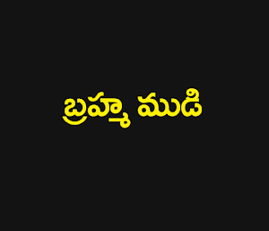 AN Telugu Serials Screenshot 1