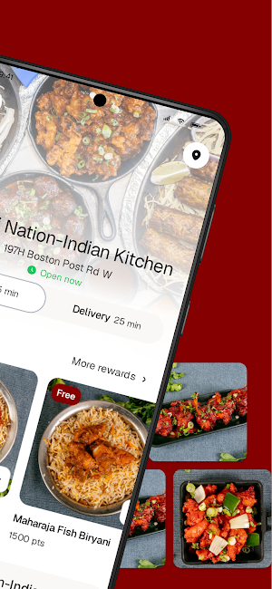 Mirchi Nation-Indian Kitchen Screenshot 1