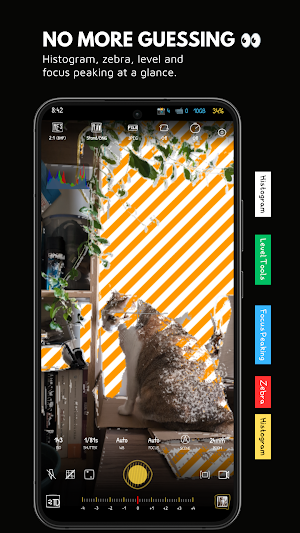 Doodlecam: Pro Manual Camera Screenshot 3