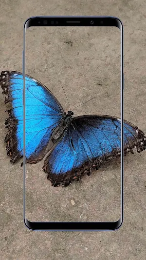 Butterfly Wallpapers Screenshot 1