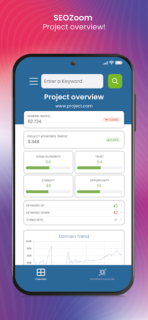 SEOZoom Screenshot 2