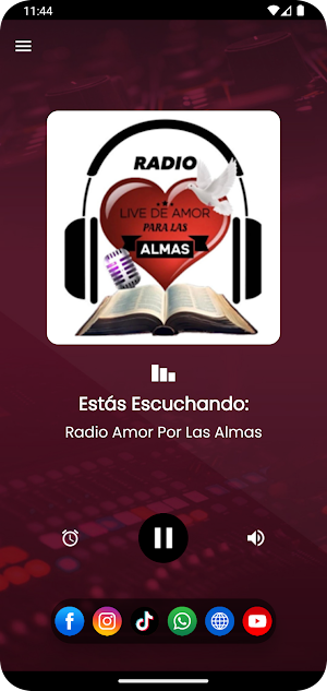 Radio Amor Por Las Almas Screenshot 2