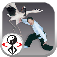 Shaolin Crane Qigong