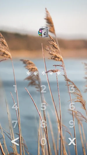 AppLock Live Theme Reeds Screenshot 1