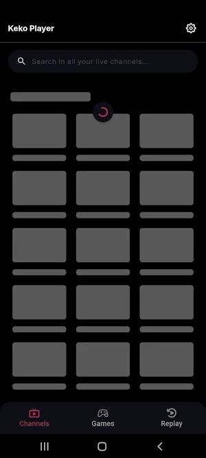 Keko Player Screenshot 0