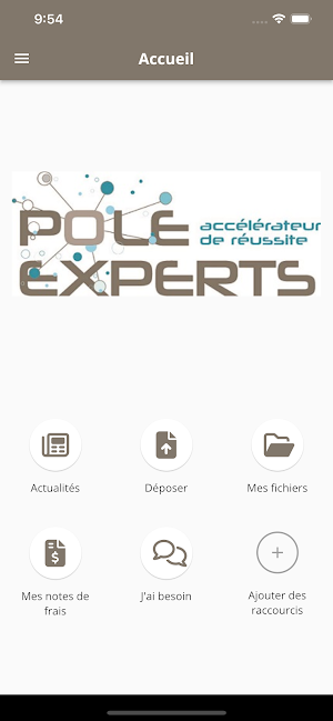 POLE EXPERTS Screenshot 1