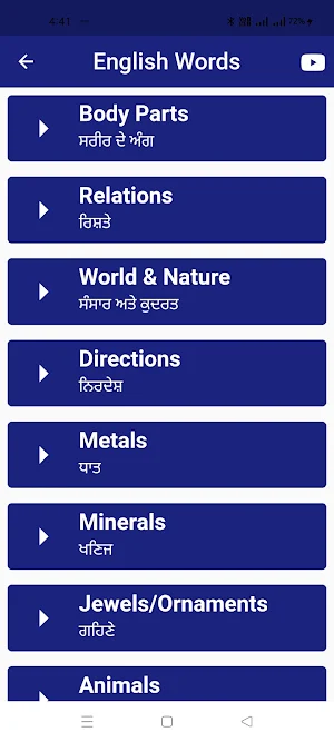 Punjabi To English Sentence Screenshot 3