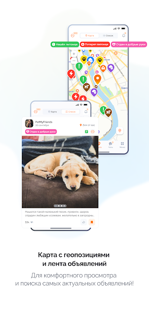 PetGeo Screenshot 2