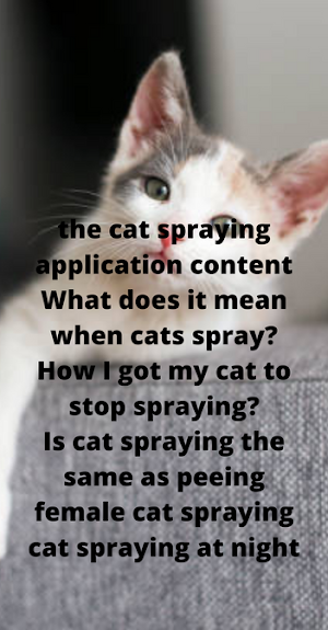 cat spraying Screenshot 1