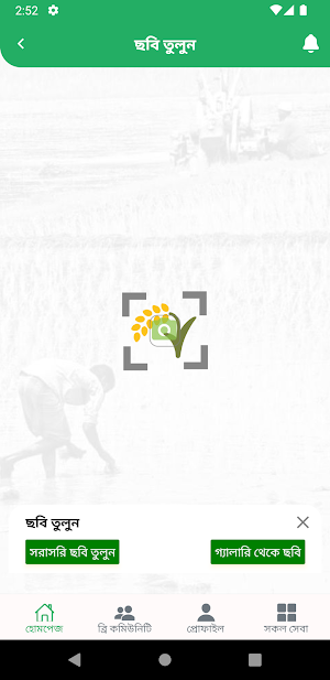 Rice Solution Screenshot 3