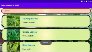 Types of Leaves for Health Screenshot 2
