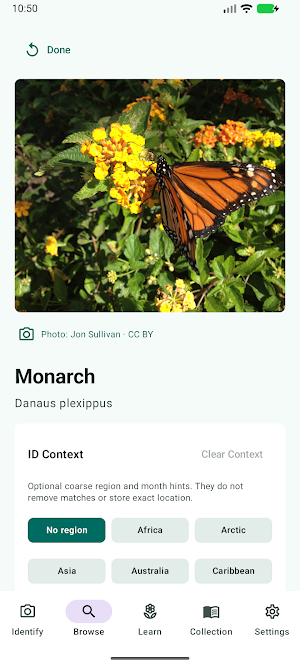 Butterfly Discover Screenshot 2