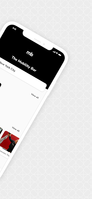 The Mobility Bar Screenshot 1