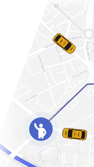 Vip Taxi Slobozia Sofer Screenshot 1