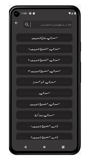 Noha Marsia(Balti)مر ثیہ نوحہ Screenshot 2