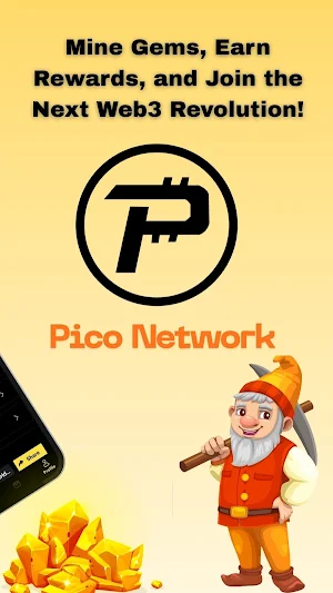 Pico Network Screenshot 1