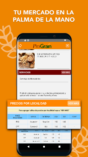 Prograin Screenshot 2